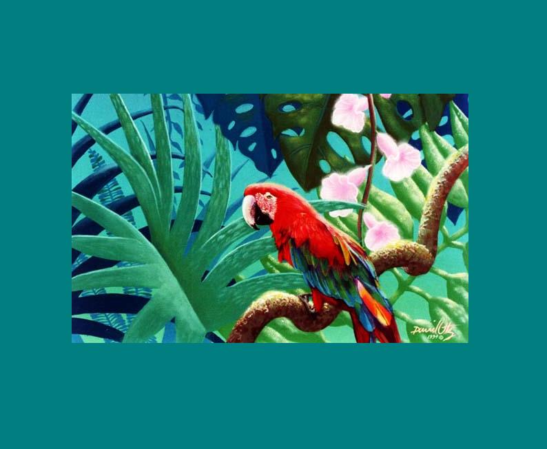 colorful parrot, big leaves, vibrant foliage, tropical flowers