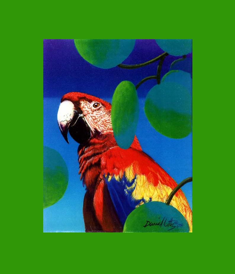 Colorful red parrot in rainforest